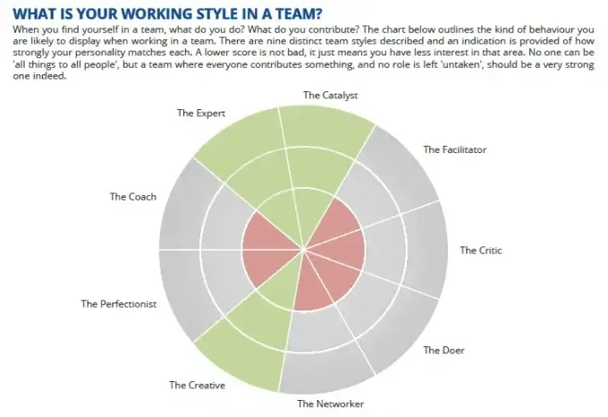 A snapshot of the 'What is your working style in a team?' part of The Quest Profiler®'s Individual Development Report. It shows someone's working style in a team, highlighting that they are best aligned with 'The Expert', 'The Catalyst', and 'The Creative'.