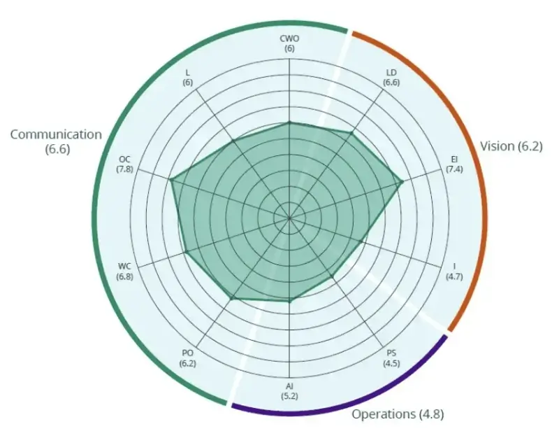 A screenshot of the 'overall summary' from the threesixty° assessment tool, providing a high-level overview of the Focus' scores for each competency included in the assessment, organised into communication, vision, and operations.